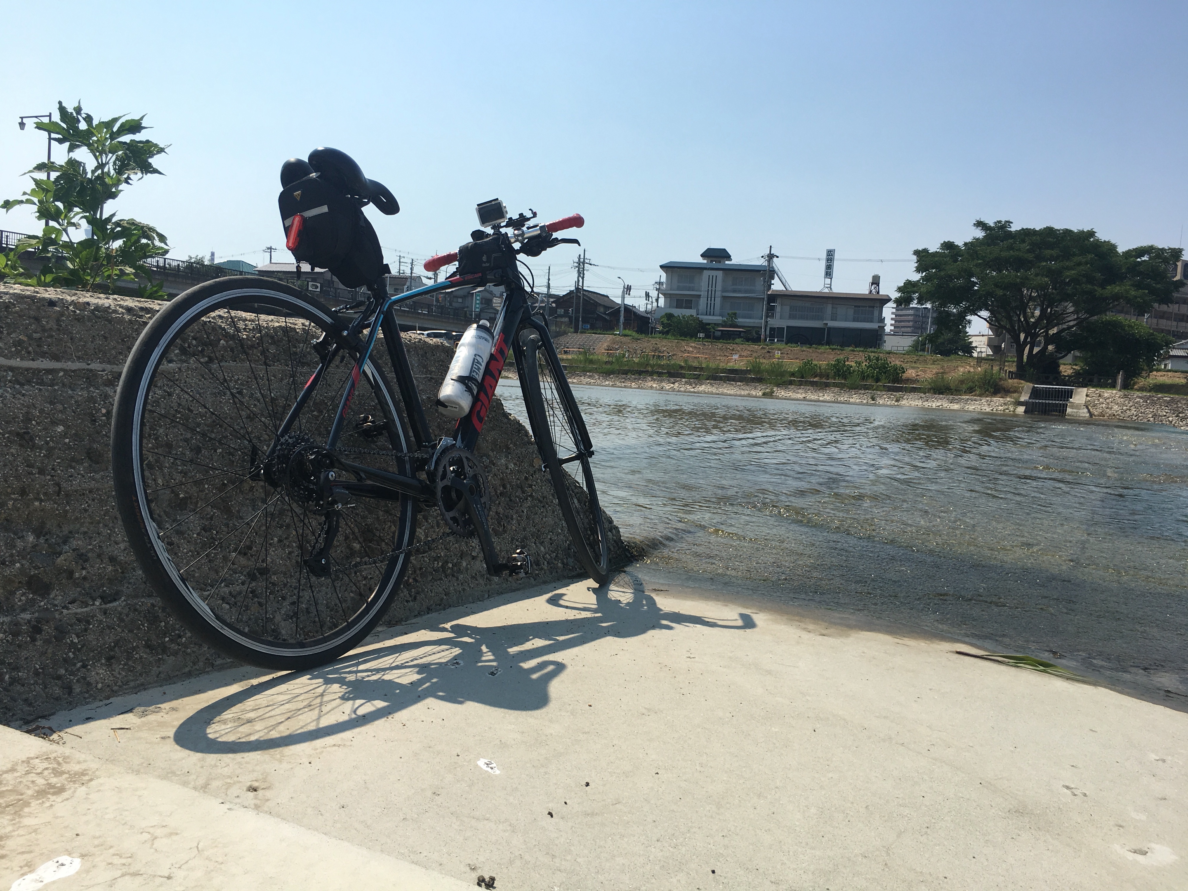【南大阪】自然を楽しみたい初心者向けおすすめサイクリングコース