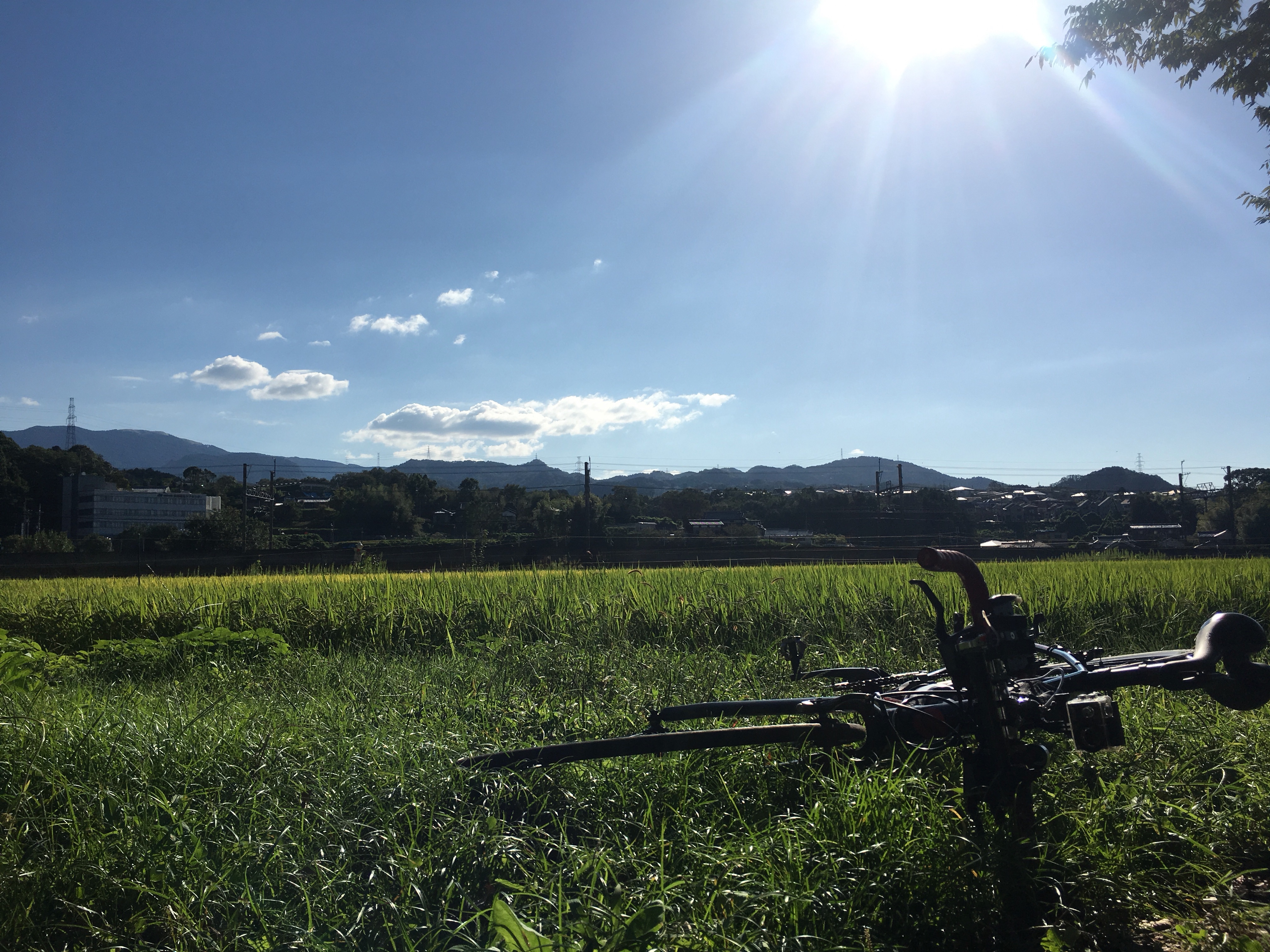 大阪で自然を楽しむ!!トトロ街道のポタサイクリングロードを走ってきた
