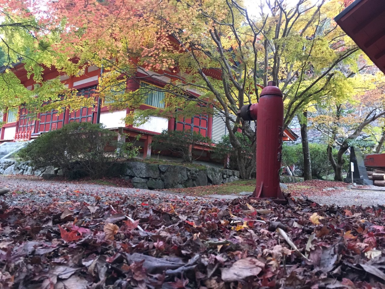 談山神社の落ち葉